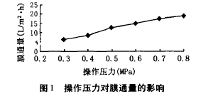 納濾膜，廢水滲透液，COD，去除效果