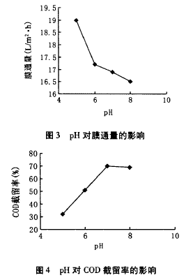 納濾膜，廢水滲透液，COD，去除效果