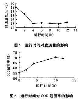 納濾膜，廢水滲透液，COD，去除效果